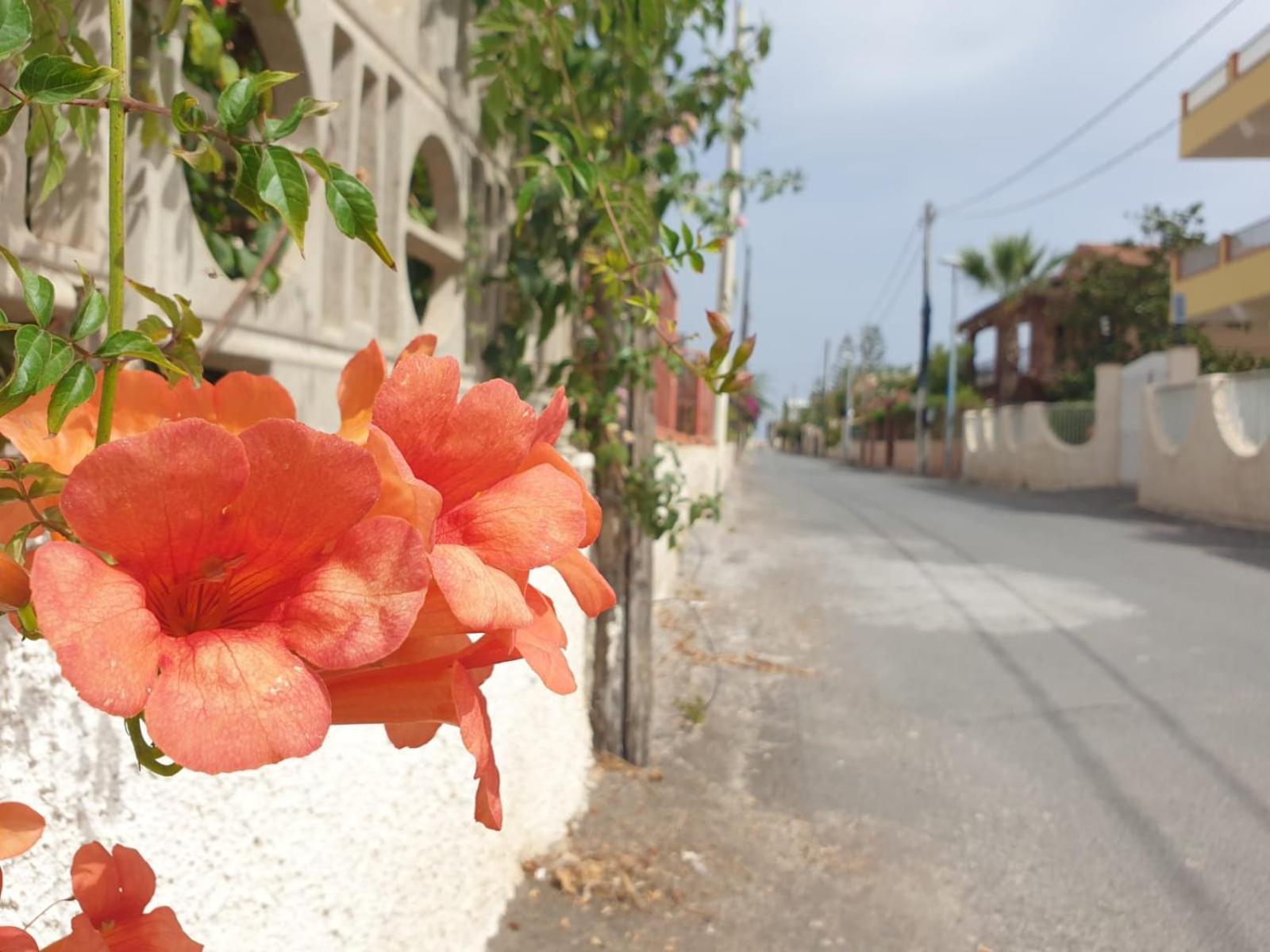 Casa Melina E Enzo Agnone Bagni Quarto foto